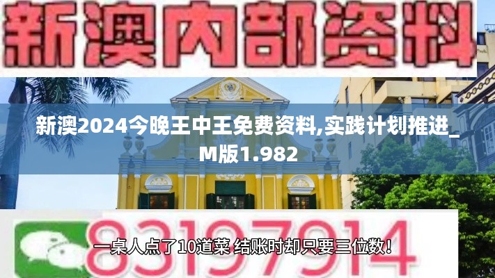 新澳2024今晚王中王免费资料,实践计划推进_M版1.982