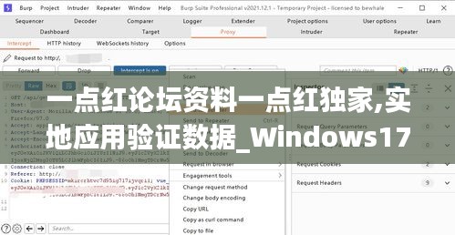 一点红论坛资料一点红独家,实地应用验证数据_Windows17.128