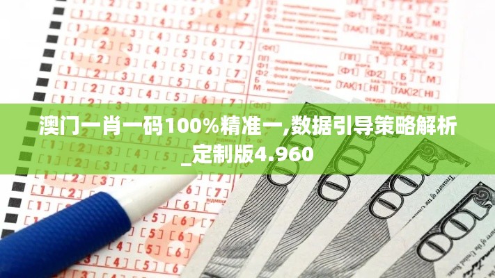 澳门一肖一码100%精准一,数据引导策略解析_定制版4.960