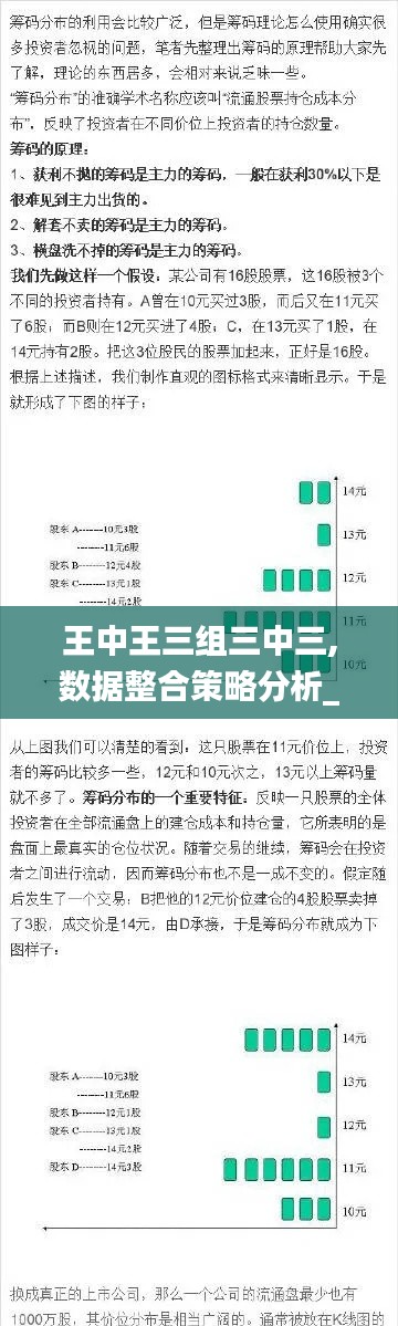 王中王三组三中三,数据整合策略分析_vShop10.997