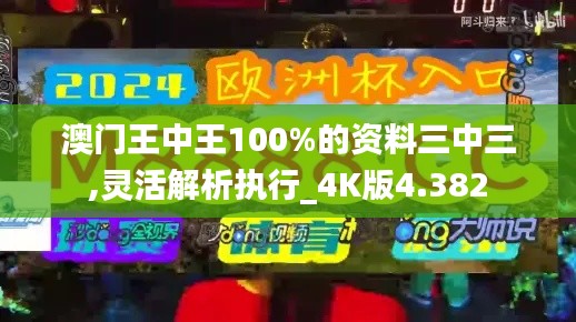 澳门王中王100%的资料三中三,灵活解析执行_4K版4.382