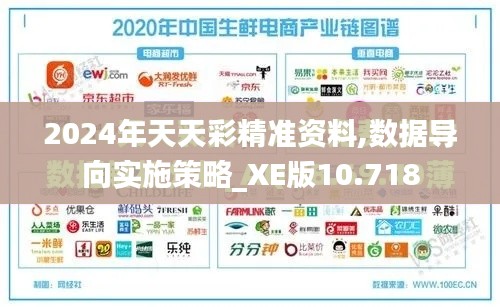 2024年天天彩精准资料,数据导向实施策略_XE版10.718