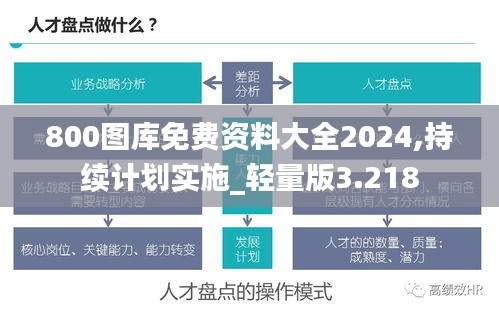 800图库免费资料大全2024,持续计划实施_轻量版3.218