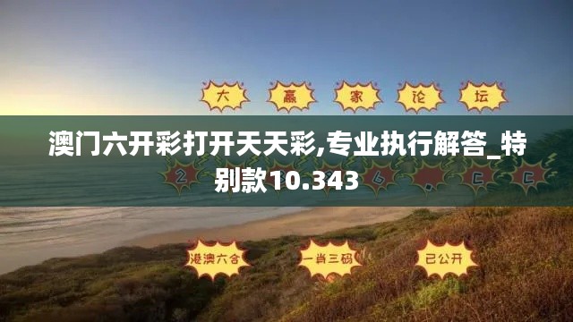 澳门六开彩打开天天彩,专业执行解答_特别款10.343