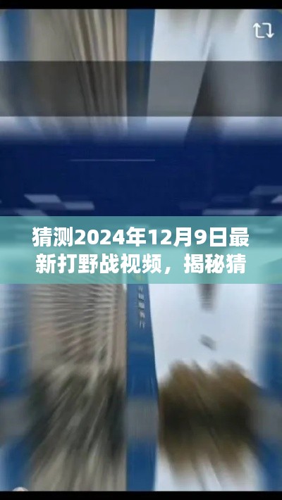 揭秘猜测，最新2024年12月9日打野战视频前瞻与解析，深度解读游戏策略与战斗技巧