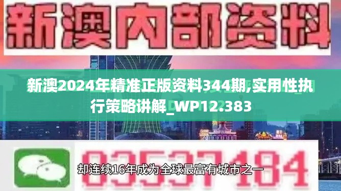 新澳2024年精准正版资料344期,实用性执行策略讲解_WP12.383