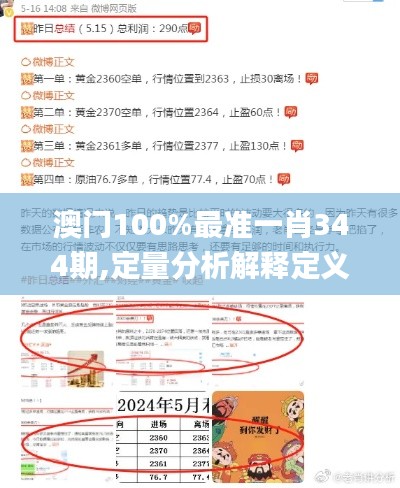 澳门100%最准一肖344期,定量分析解释定义_suite8.961