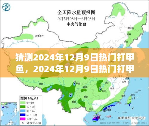 深度解析，2024年打甲鱼现象背后的背景、事件与影响