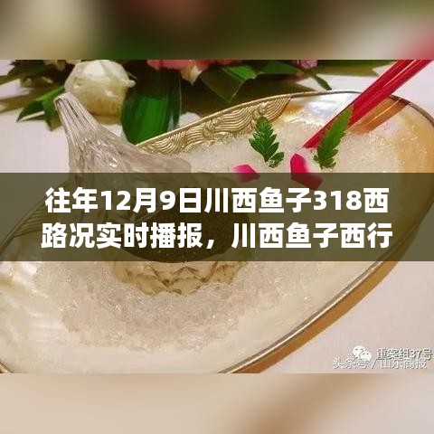 川西鱼子西行路实时路况播报，温情满溢的十二月同行之旅