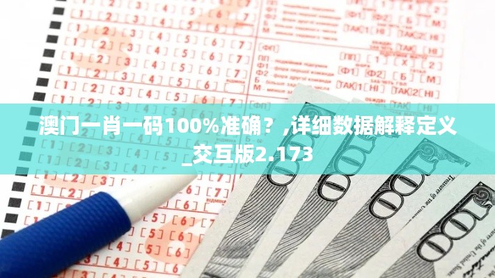 澳门一肖一码100%准确？,详细数据解释定义_交互版2.173