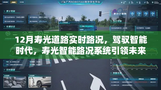 12月寿光道路实时路况，驾驭智能时代，寿光智能路况系统引领未来出行新纪元