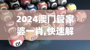 2024澳门管家婆一肖,快速解答设计解析_XR13.842