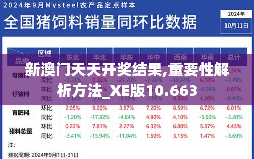 新澳门天天开奖结果,重要性解析方法_XE版10.663