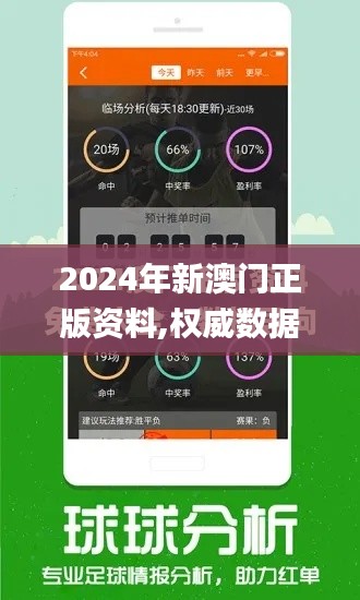 2024年新澳门正版资料,权威数据解释定义_专业款19.408