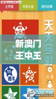 新澳门王中王天天开彩结果,最新分析解释定义_P版4.112