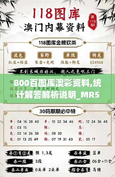 800百图库澳彩资料,统计解答解析说明_MR5.904