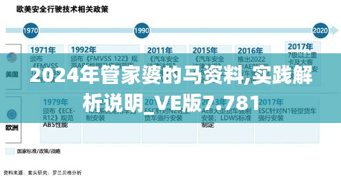 2024年管家婆的马资料,实践解析说明_VE版7.781