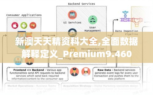 新澳天天精资科大全,全面数据解释定义_Premium9.460