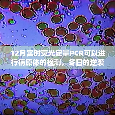 实时荧光定量PCR赋能冬日病原体检测，点亮希望之光