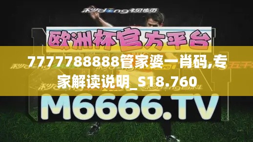 7777788888管家婆一肖码,专家解读说明_S18.760