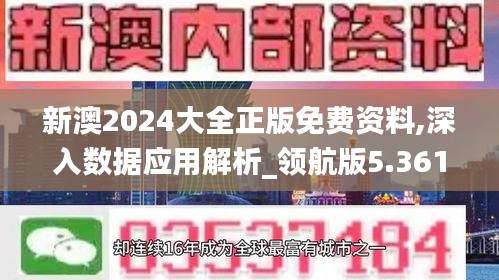 新澳2024大全正版免费资料,深入数据应用解析_领航版5.361