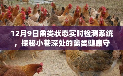 探秘禽类健康守护者，禽类状态实时检测系统介绍