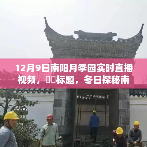 冬日探秘南阳月季园，直播之旅寻找心灵的宁静之地