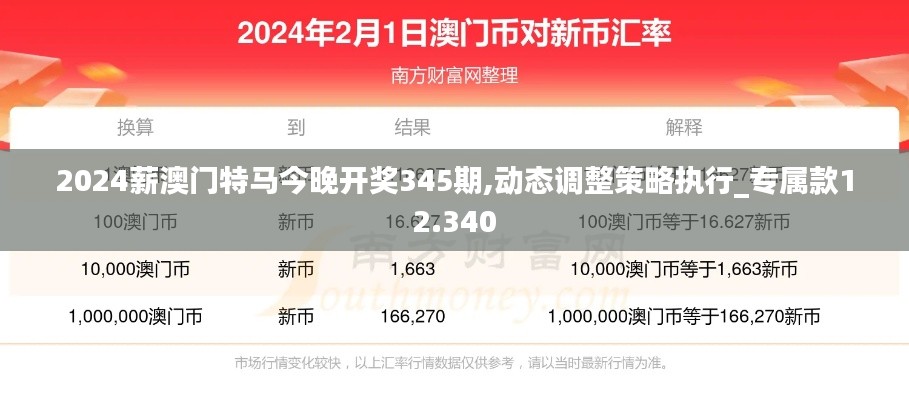 2024薪澳门特马今晚开奖345期,动态调整策略执行_专属款12.340