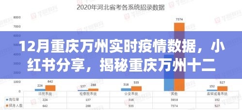 重庆万州12月实时疫情数据解析，小红书上的健康防线守护者