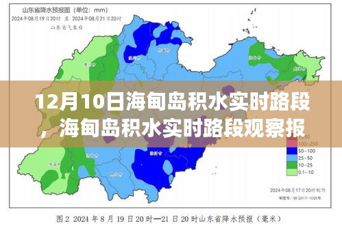 海甸岛积水实时路段观察报告——特别关注日（12月10日）