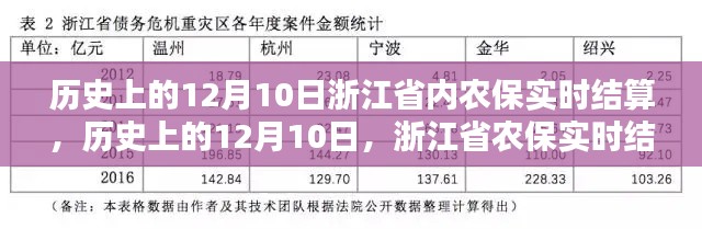 浙江省农保实时结算系统深度评测，历史上的12月10日结算纪实与评估