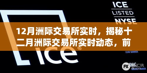 揭秘十二月洲际交易所实时动态，前沿市场分析深度洞察