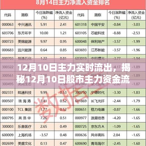 揭秘股市主力资金流向，12月10日主力实时流出分析与策略应对