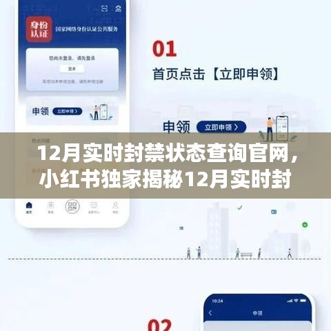 小红书独家揭秘，12月实时封禁状态查询官网全攻略——账号安全无忧，守护你的网络世界！