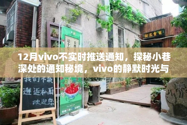 探秘小巷深处的通知秘境，vivo静默时光与特色小店的邂逅故事