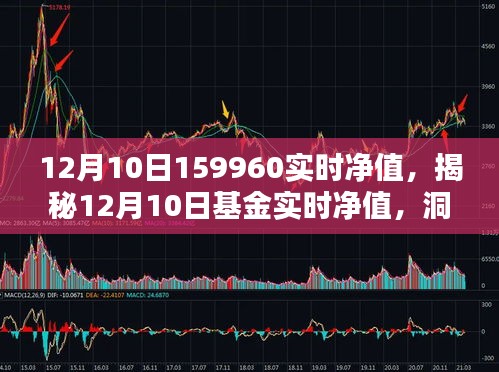 揭秘金融奥秘，12月10日基金实时净值解析与洞察（净值，159960）