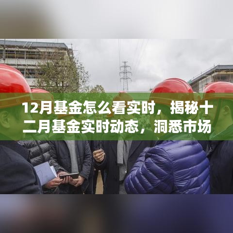 揭秘十二月基金实时动态，洞悉市场走势，把握投资先机，实时掌握基金动态助力投资决策。