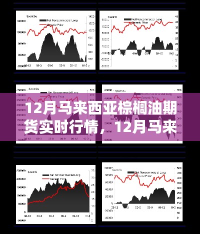 12月马来西亚棕榈油期货行情激荡，开启成功之门