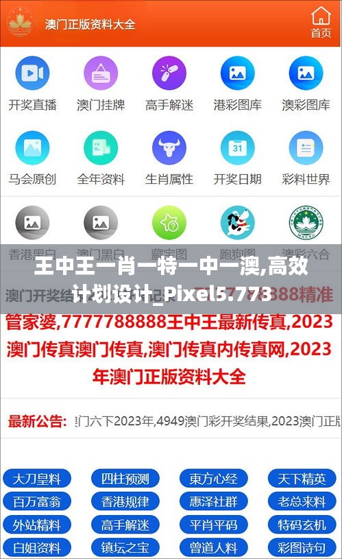 王中王一肖一特一中一澳,高效计划设计_Pixel5.773