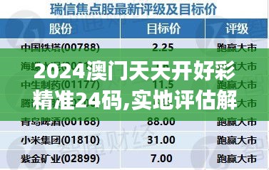 2024澳门天天开好彩精准24码,实地评估解析说明_HDR9.248