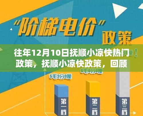 往年12月10日抚顺小凉快政策的回顾与影响，热门政策解读及影响分析