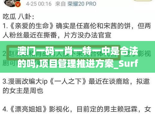 澳门一码一肖一特一中是合法的吗,项目管理推进方案_Surface8.933