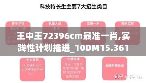 王中王72396cm最准一肖,实践性计划推进_10DM15.361