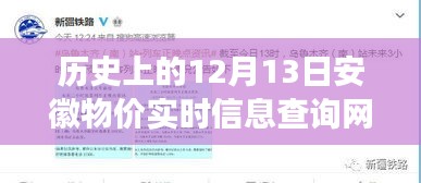 安徽物价实时查询网下的温情故事，一场关于历史的记忆之旅（12月13日）