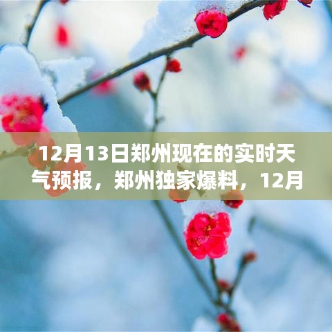 郑州独家爆料，冷冬来袭！12月13日实时天气预报发布