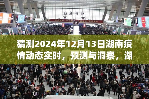 2024年12月13日湖南疫情动态预测与实时洞察，未来景象展望