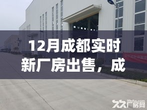 深度解析，成都新厂房出售背景、事件与影响，实时资讯全解读