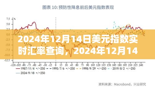 2024年12月14日美元指数实时汇率查询指南，轻松获取汇率信息