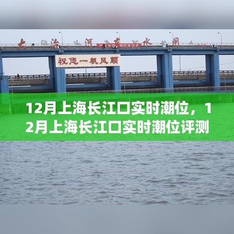 上海长江口潮位实时评测报告，深度解析十二月潮汐动态