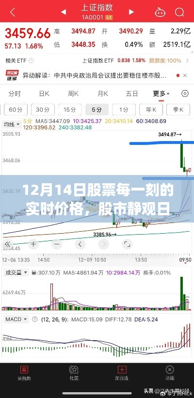 探寻心灵净土，股市静观日与实时股票行情解析（12月14日）